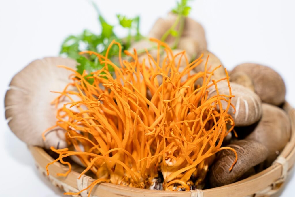 Cordyceps Militaris